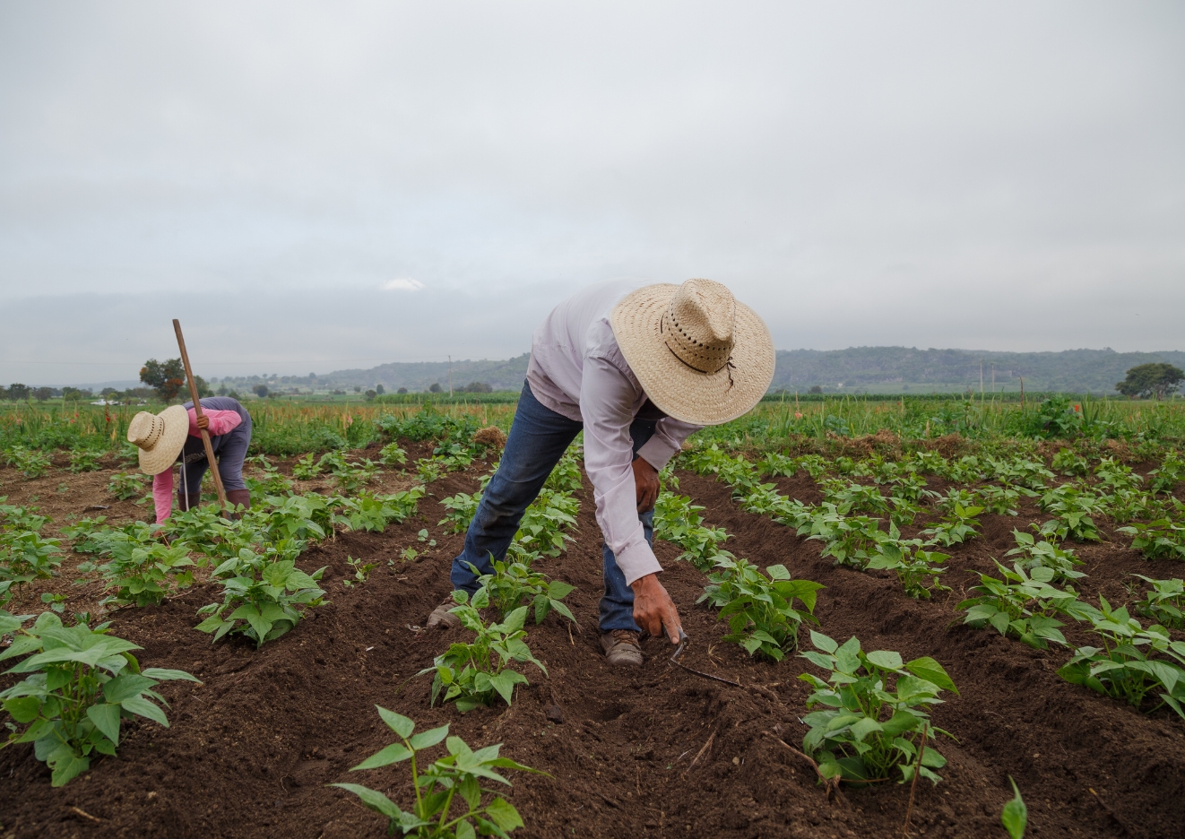 agricultural worker